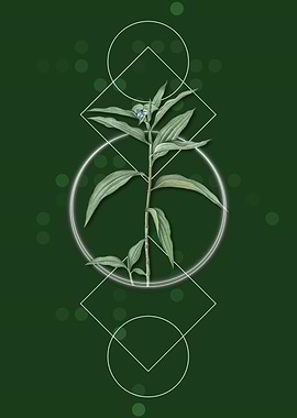 Geometric Dayflower Floral