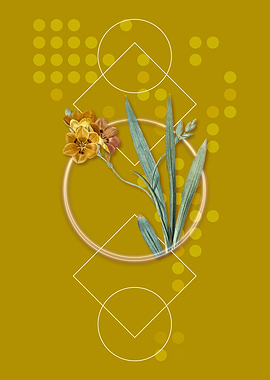 Geometric Ixia Miniata