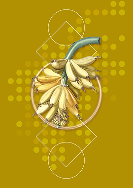 Geometric Banana Fruit