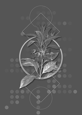 Chinese New Year Flower