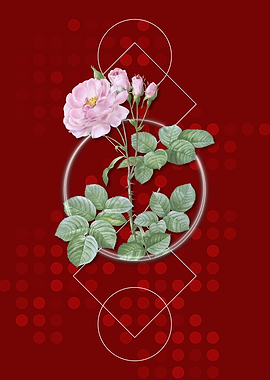 Pink Geometric Damask Rose