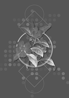 Vintage Golden Guinea Vine