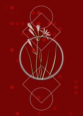 Geometric Amaryllis Flower