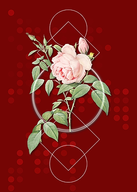 Vintage Geometric Rosebush