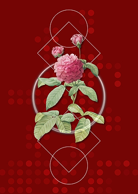 Geometric Agatha Rose