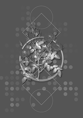 Geometric Rosier Pompon