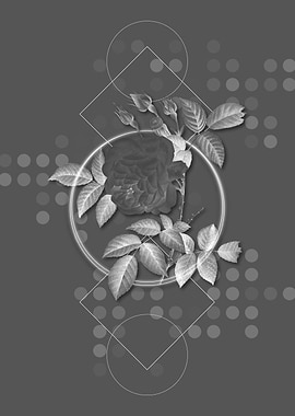 Geometric Gray Rose