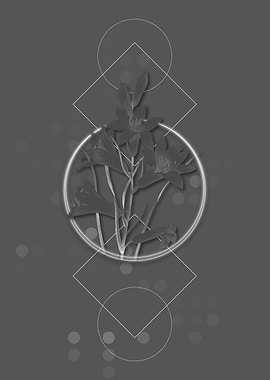 Geometric St Brunos Lily