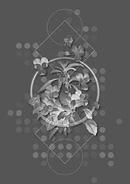 Geometric Johnny Jump Up