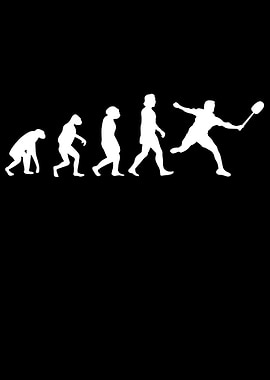 Shuttlecock Evolution