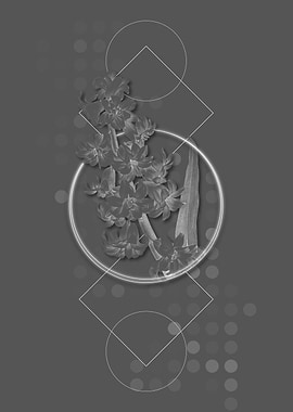 Vintage Oriental Hyacinth