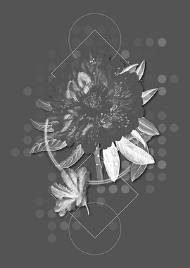 Gray Rhododendron Flower