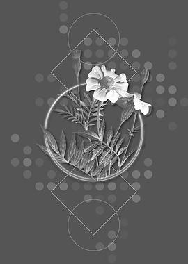 Geometric Mexican Marigold