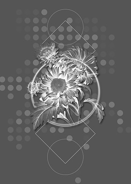 Gray Geometric China Aster