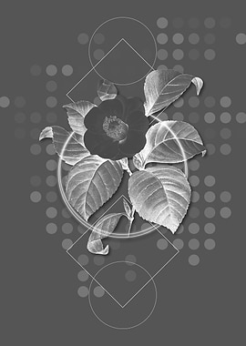 Geometric Japanese Camelia