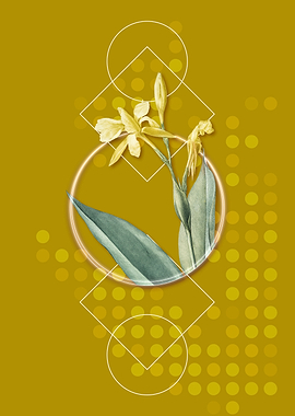 Bandana of the Everglades