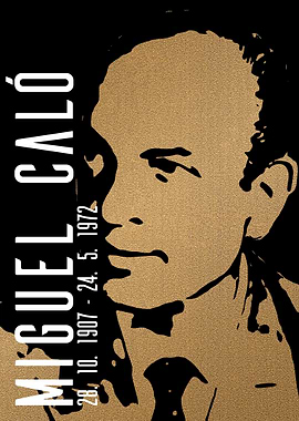 Miguel Calo