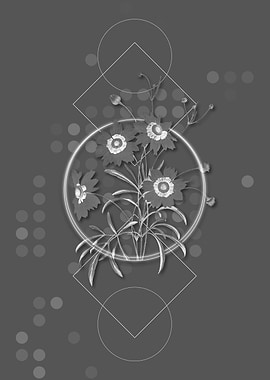 Gray Coreopsis Elegans