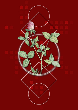 Vintage Pink Clover Flower