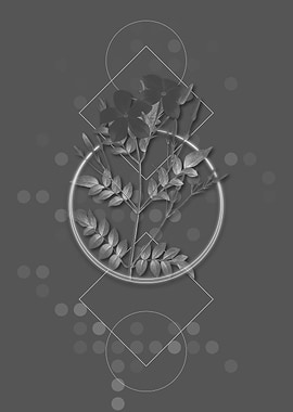 Geometric Spanish Jasmine