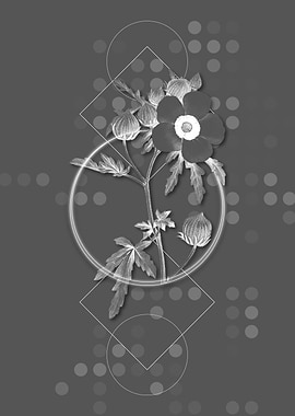 Geometric Venice Mallow