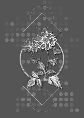 Gray Geometric Hyacinth