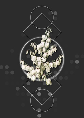 Geometric Aloe Yucca