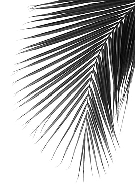 Minimal Palm Leaf Finesse1