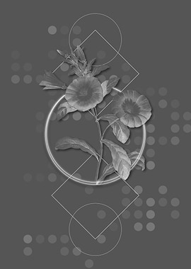 Geometric Field Bindweed