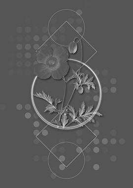Grey Geometric Welsh Poppy