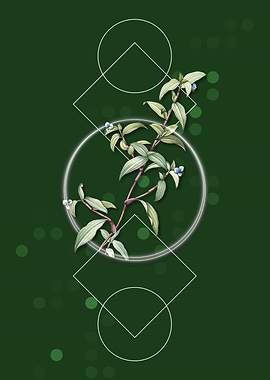 Vintage Birdbill Dayflower