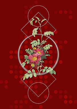 Red Geometric Alpine Rose
