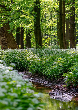 Spring forest, tree, river
