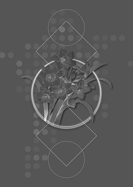 Gray Chinese Sacred Lily