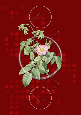 Geometric Apple Rose Flora
