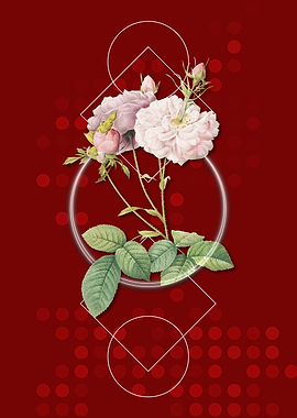 Pink Geometric Damask Rose