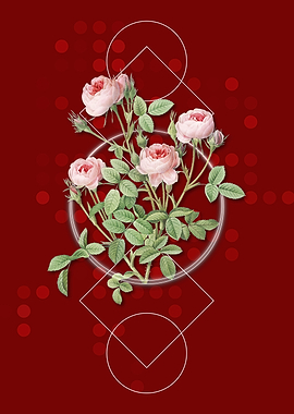 Geometric Burgundian Rose