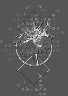 Geometric Kaisers Crown