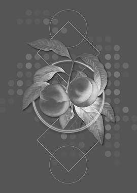 Dotted Geometric Peach