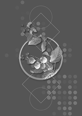 Geometric Grey Red Berries