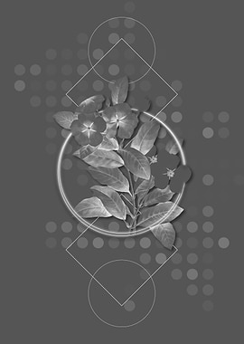 Ghostly Gray Periwinkle