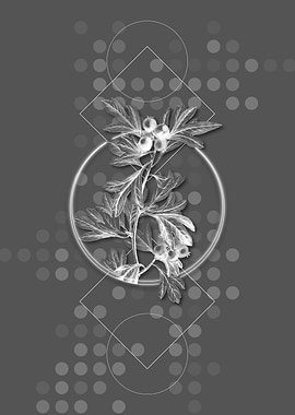 Geometric Hawthorn Flower