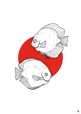 JAPAN FISH