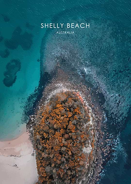 Shelly Beach Australia Art
