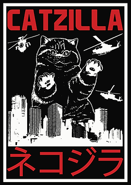 Cat Cats Kitty Feline