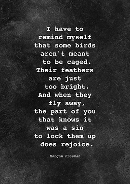 Morgan Freeman Quote D011