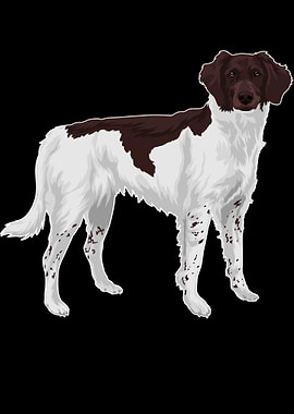 Small Munsterlnder Hund