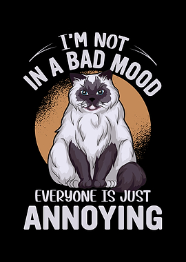 ANNOYED BY PEOPLE CAT