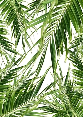 Palm Leaves Jungle Cali 1