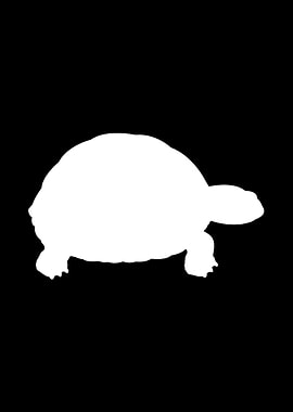 Turtle Tortoise Reptile